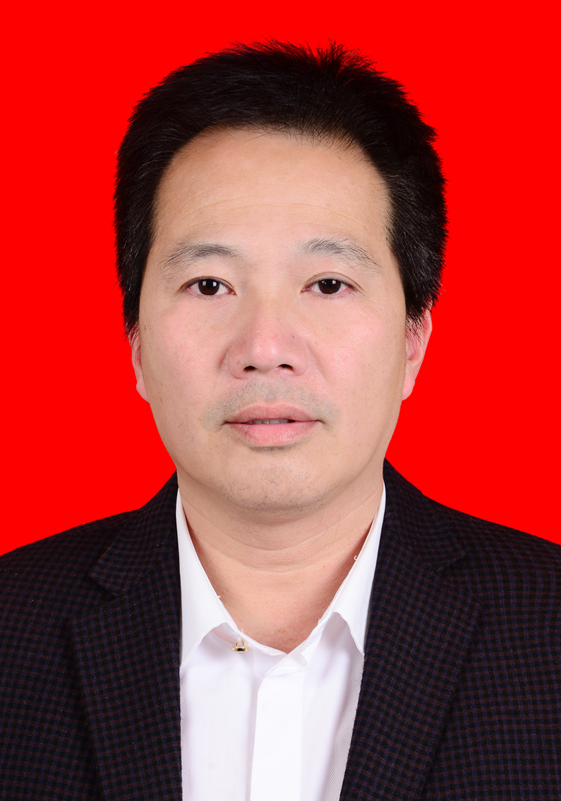 文体旅游局叶哲滨局长.jpg